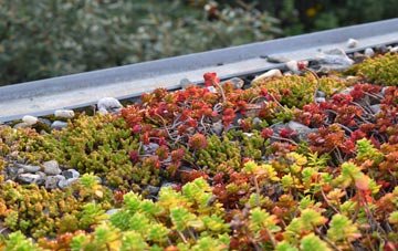 the cost of Cymmer green roof installation