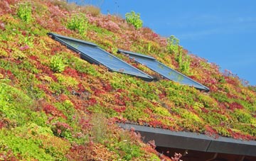 Cymmer living roof systems