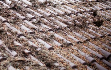 Cymmer roof cleaning companies