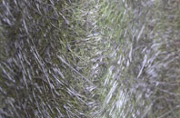 Cymmer fibreglass roof work